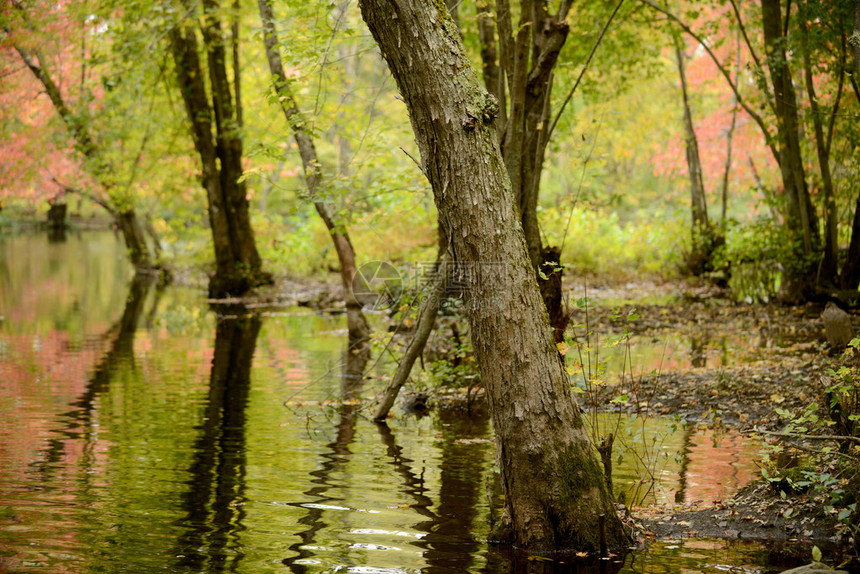 秋天的树木随着湖中景观的反射而改变颜色图片