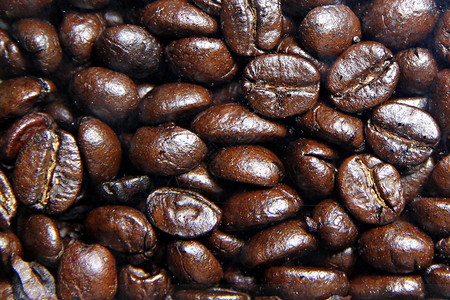 咖啡豆的布置清晰可见食品公司的背图片