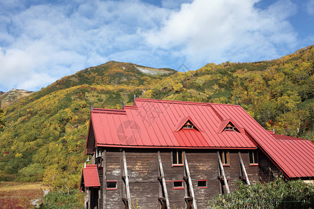 秋天风景中的木林小旅馆图片