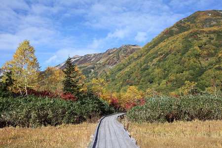 山的秋边风景木头图片