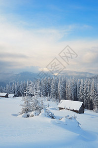 山中的冬日乌克兰喀尔巴阡山脉图片