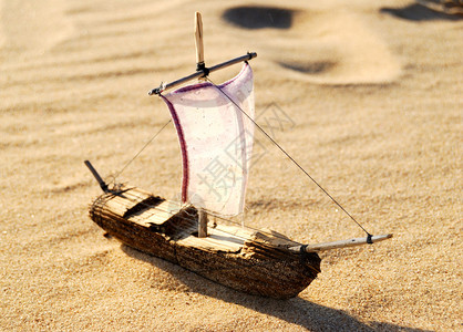 海沙中的木帆玩图片