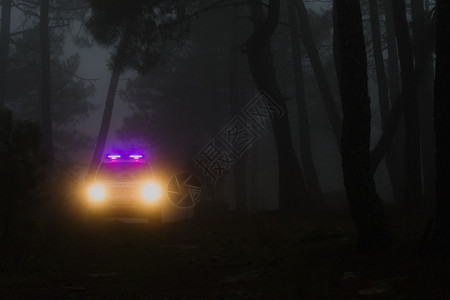 护林车在马德里社区的森林中巡逻图片