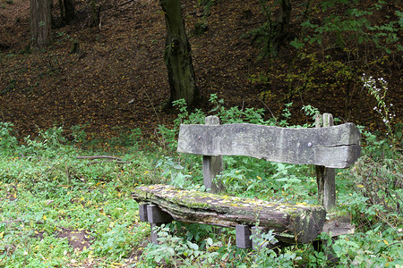 秋天森林边缘的老寂寞长凳图片
