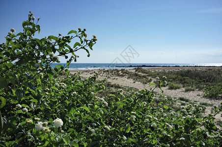 意大利西里南沙海岸地中海图片