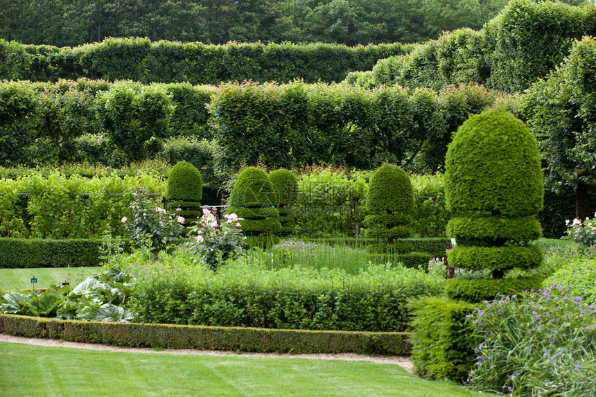 卢瓦尔河谷城堡的华丽装饰花园图片