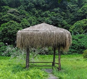 草间小屋图片