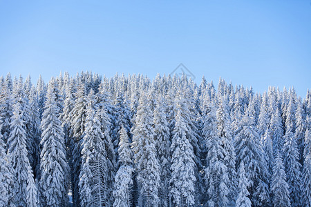 冬季山区图片