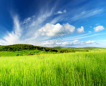 含有草和云的农村景图片