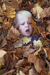 一个男孩在秋天玩耍图片
