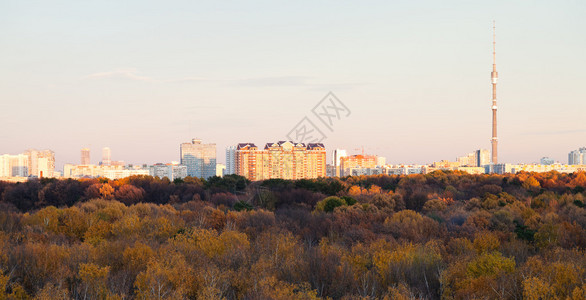 莫斯科天际与电视塔以及森林背景图片