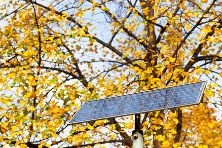 秋日户外太阳能电池板和树图片