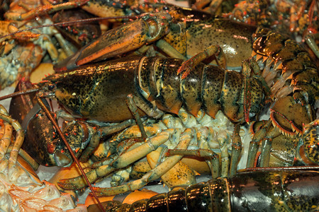 红煮小龙虾背景食物海图片
