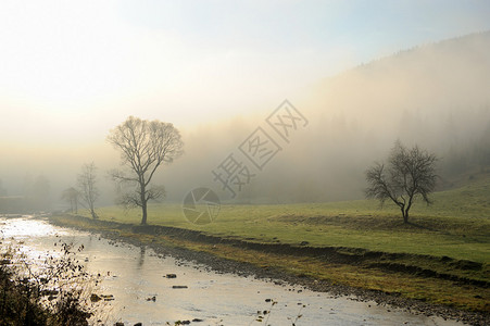 山中的河流和雾图片