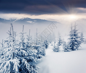 美丽的冬季风景乌克兰图片