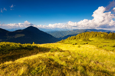 喀尔巴阡山脉高山景观的美景乌图片