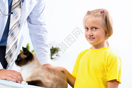 女孩把猫带给兽医兽医检查一只猫图片