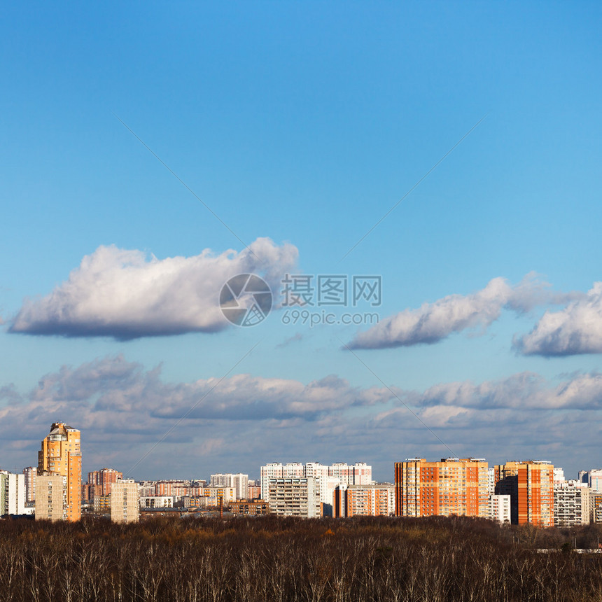 秋天的城市景观蓝天下光秃的树木图片