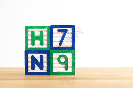 H7N9字母玩具积木图片