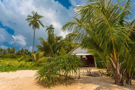 泰国的热带海滨别墅图片