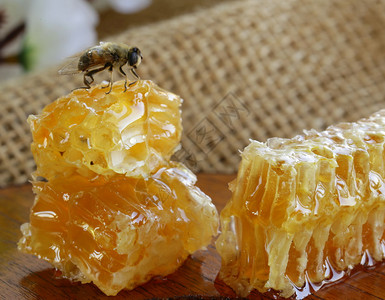 蜂蜜在蜂窝上的宏针图片