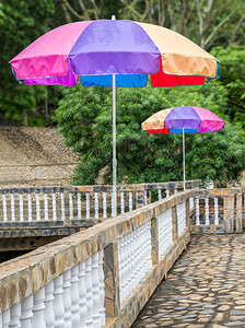 自然公园里的五颜六色的雨伞图片