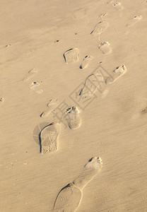 细沙滩上的脚印图片