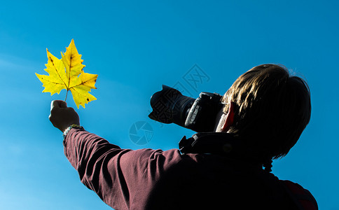 秋天的叶子摄影师图片