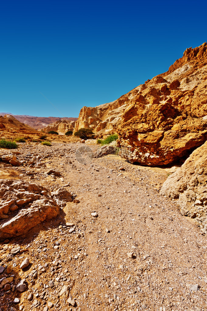 西岸朱迪亚沙漠中的峡谷图片