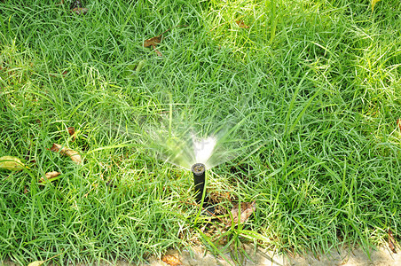 喷洒在绿色草坪的洒水器图片