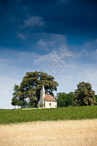 有草地的小教堂图片