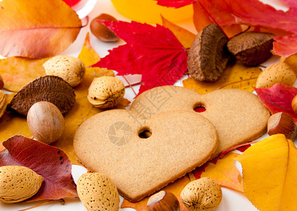 秋叶和坚果之间的两个心形饼干图片