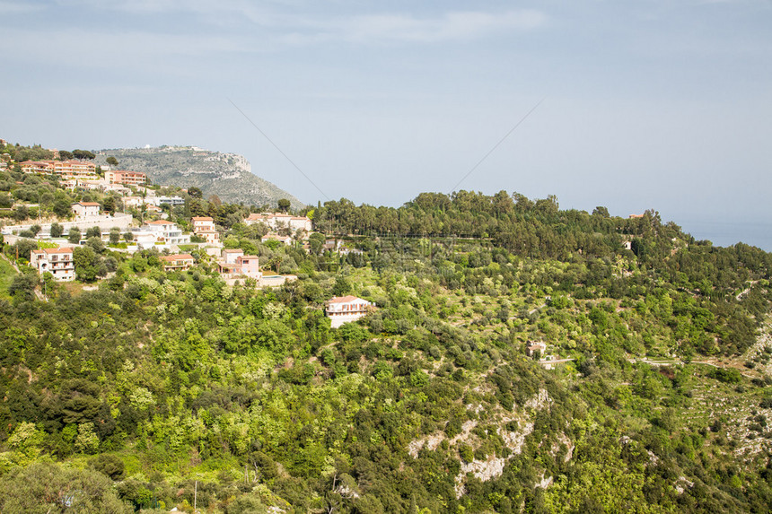 法国埃泽村附近的一个山坡上的Ti图片