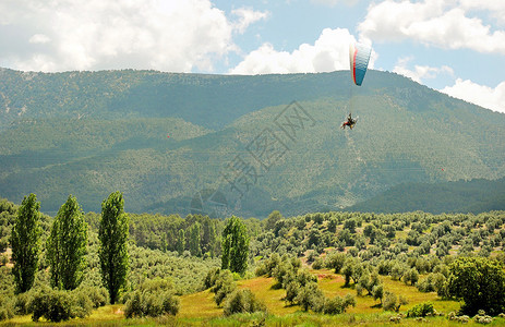滑翔伞飞越橄榄园图片