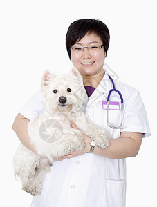 女兽医抱着狗的肖像工作室拍摄图片