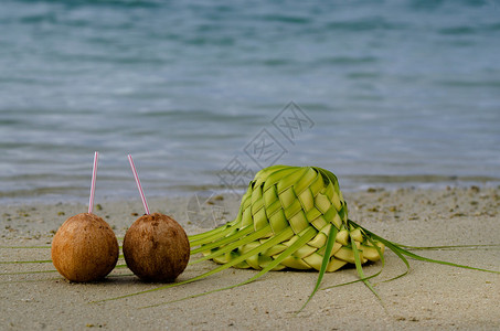 热带岛屿沙滩海岸的棕榈叶上有两根椰子图片
