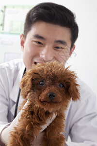 兽医在办公室抱着狗图片