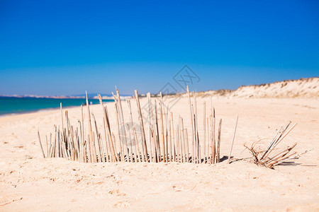 在葡萄牙法罗荒弃海岸的荒废海岸上用图片
