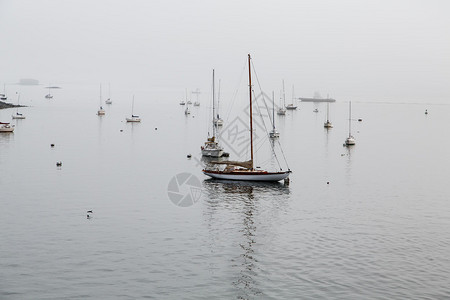 许多帆船在大雾中停泊在港口图片