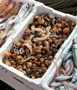 海港市场出售的鲜鱼图片