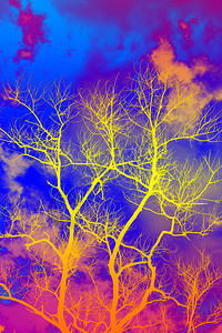 剪影死树与云彩背景图片
