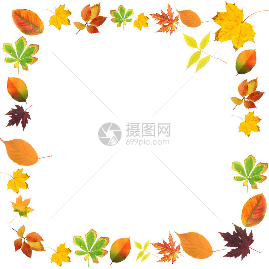 美丽的彩色秋叶边框图片
