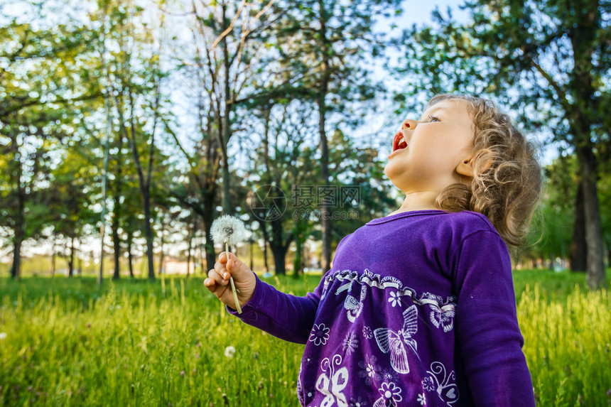 小女孩在草地上吹蒲公英图片