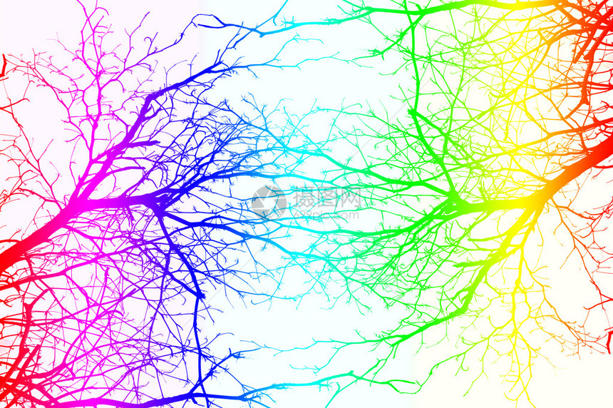 白色背景上的五颜六色的树枝图片