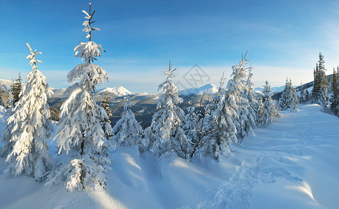 阳光明媚的白天冬风景山谷图片