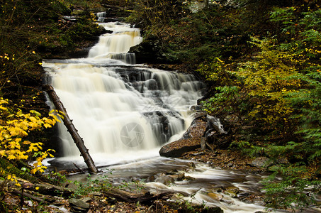 秋天森林深处的瀑布背景图片