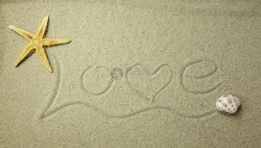 爱在沙中图片