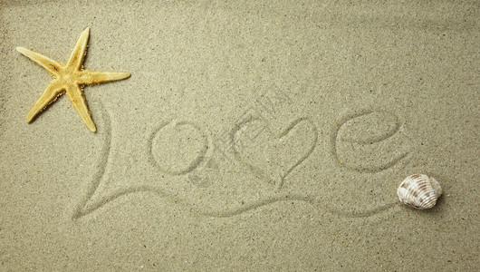 爱在沙中图片