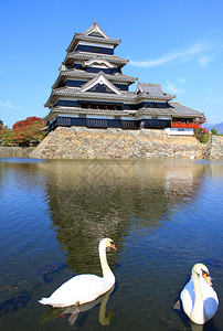 日本松城与两只天鹅图片