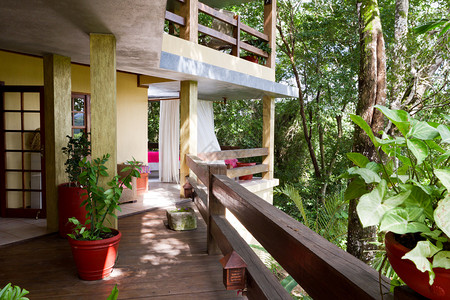 美丽的家在贝利兹丛林图片